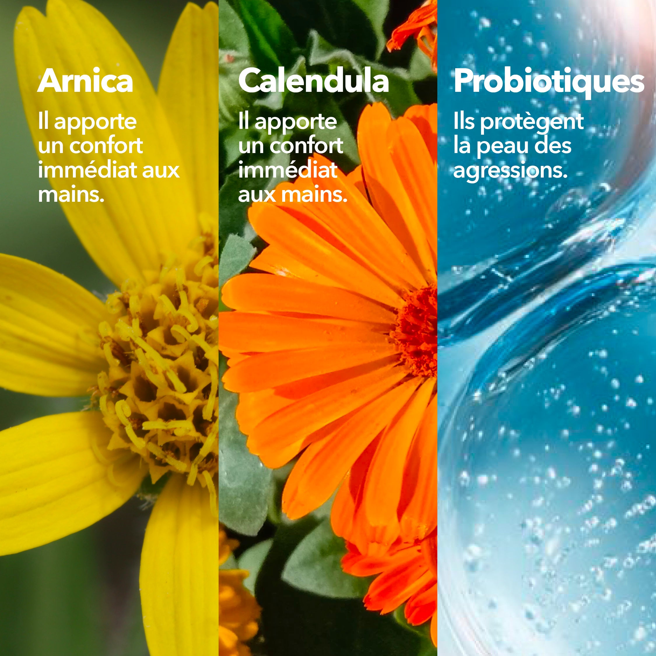 Krème Crème Mains Concentrée Ingrédients