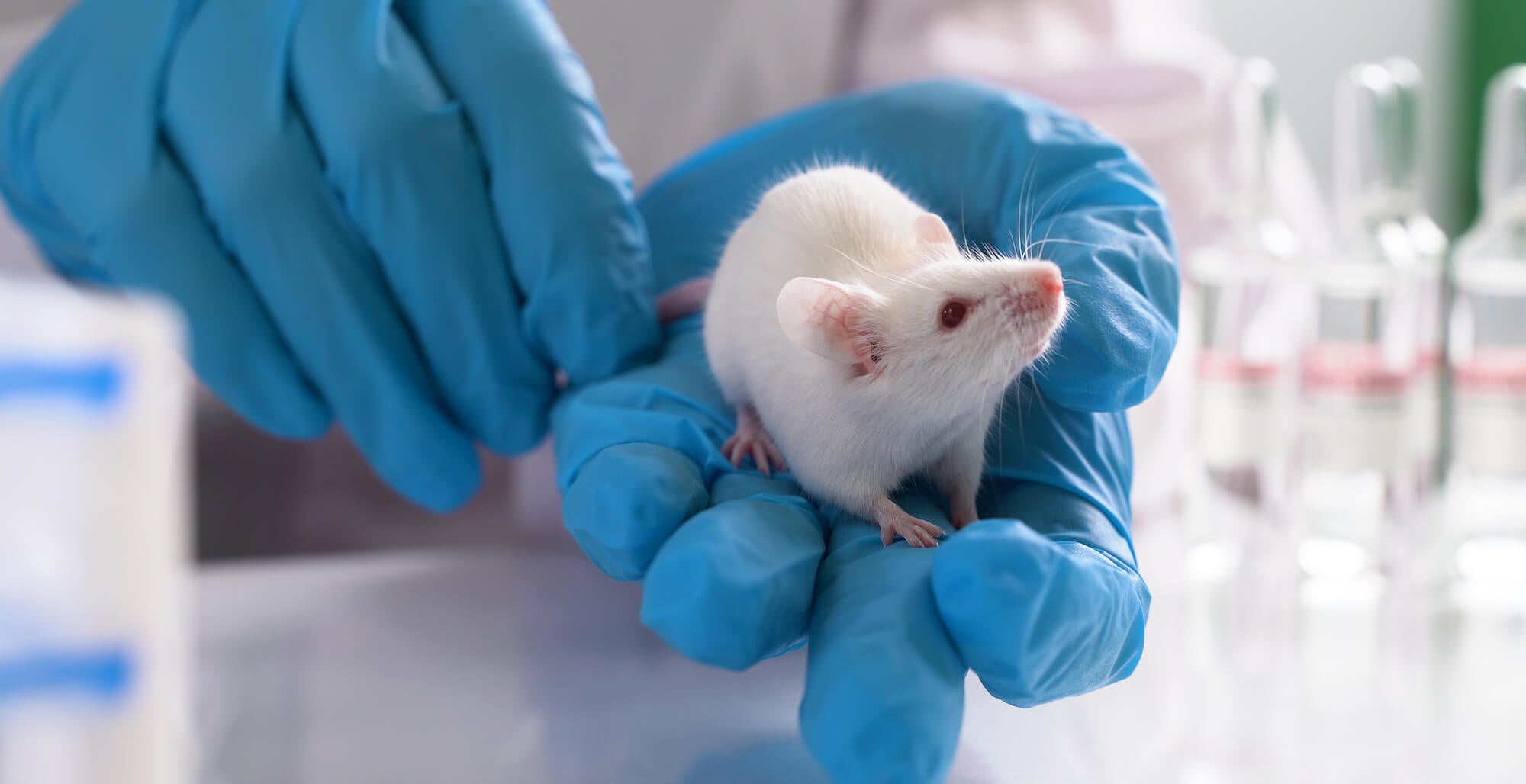 marque cosmétiques tests animaux