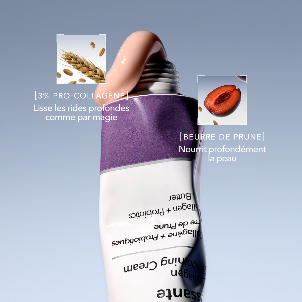 Actifs crème collagène