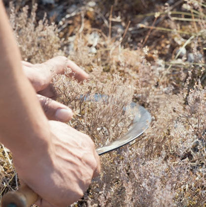 Formule bio 100% naturel, sans allergène ni conservateur 