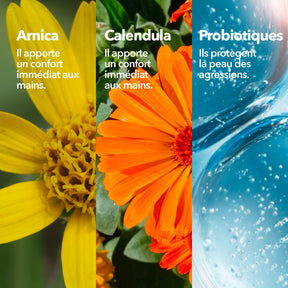Krème Crème Mains Concentrée Ingrédients